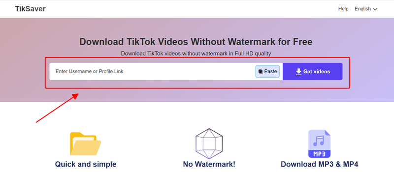 enter tiktok username